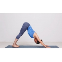 Yoga Vinyasa
